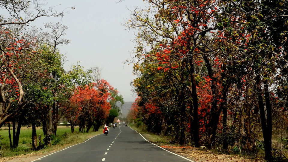 Photo of Heart of India I- Delawadi Jungle camp, Ginnaurganj fort 9/51 by Aditi Kumar