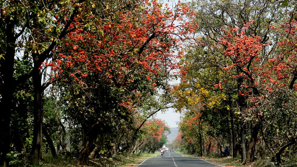 Ginnorgarh Fort: Travel guide on Ginnorgarh Fort - Delawadi Jungle Camp ...