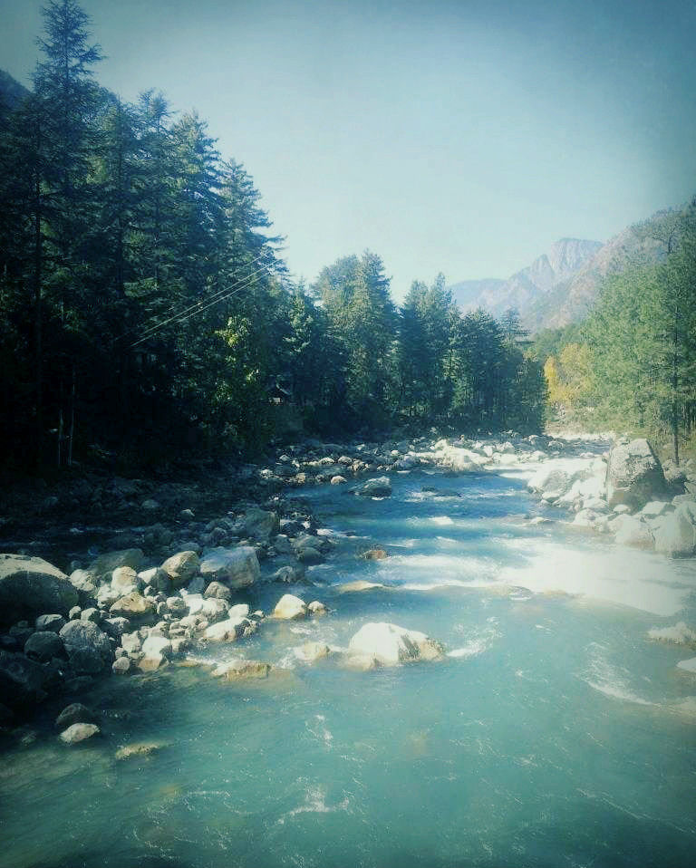 Photo of "Free Kasol" 26/29 by Tarun Nehra
