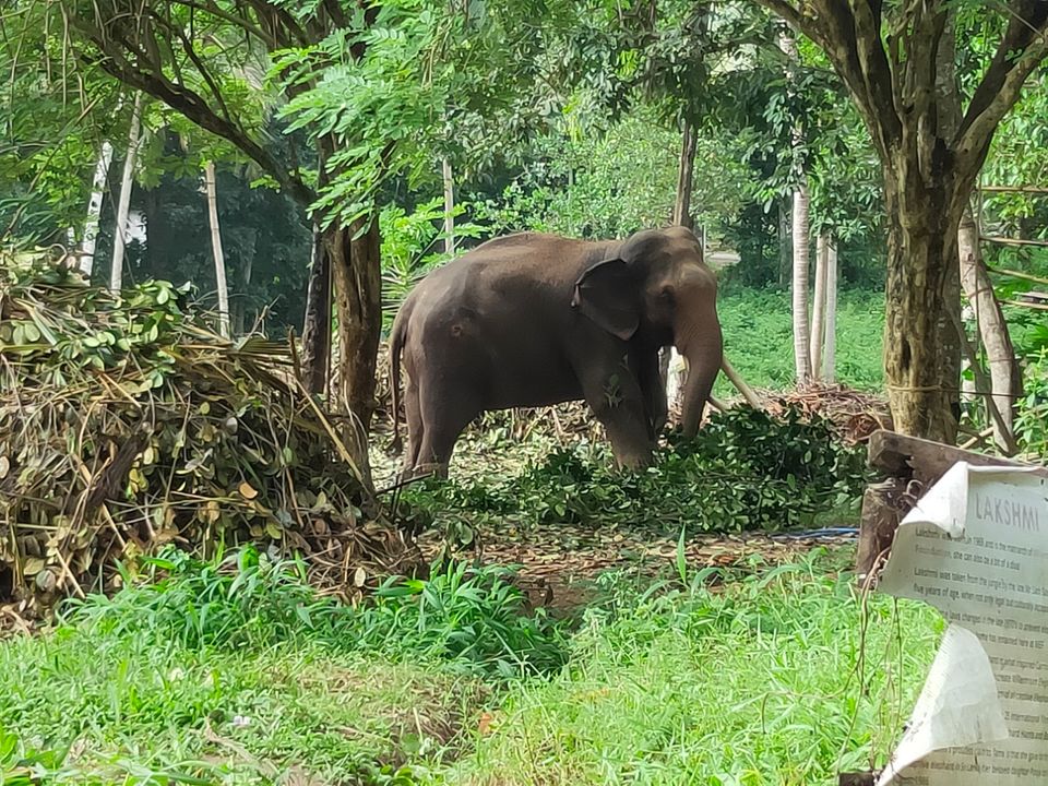 Photo of Kandy, Sri Lanka by Soumya das gupta