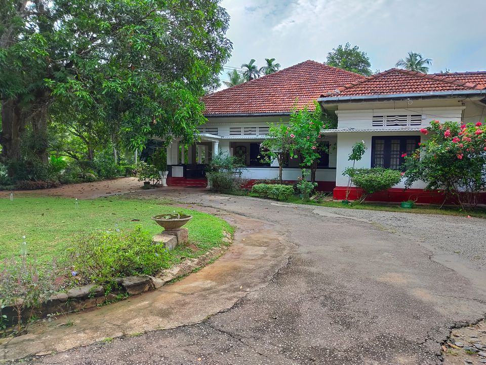 Photo of Kandy, Sri Lanka by Soumya das gupta