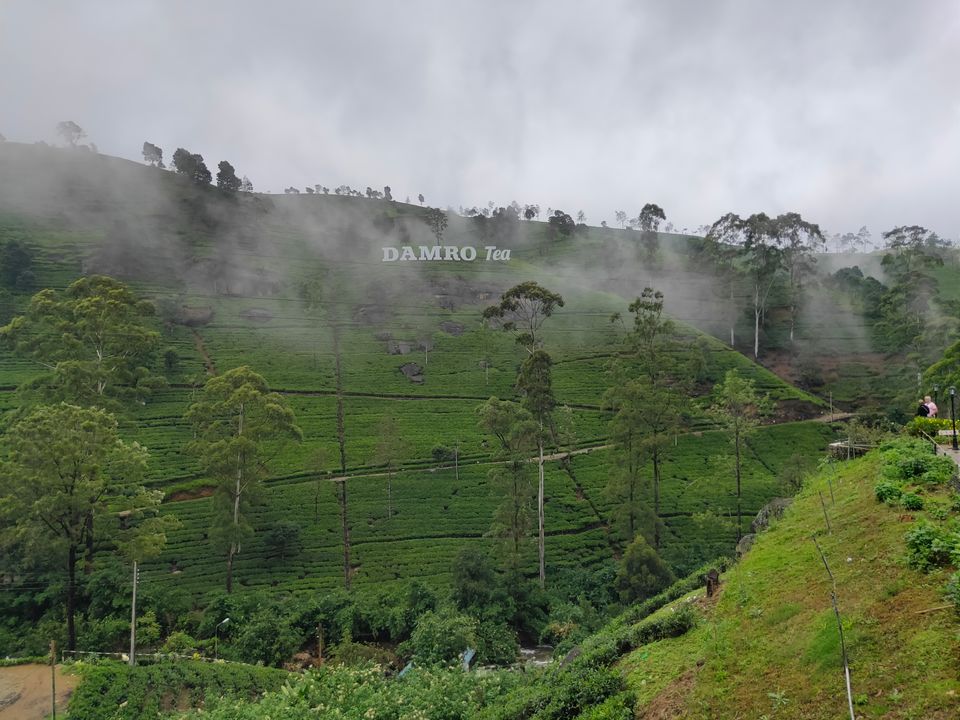 Photo of Nuwara Eliya, Sri Lanka by Soumya das gupta