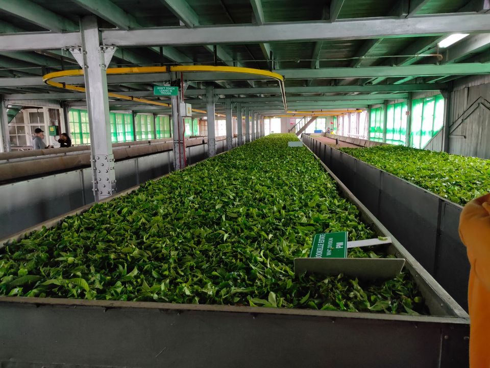 Photo of Nuwara Eliya, Sri Lanka by Soumya das gupta