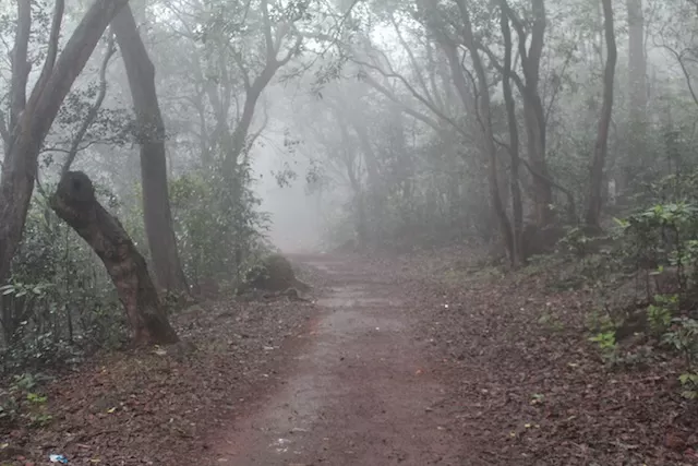 Photo of Alexander Point, Alexander Point Trail, Matheran, Maharashtra, India by Mukti Masih