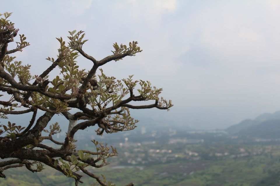 Photo of Duke's Nose: That one-day Hike to a heavenly aboard! 9/13 by Mukti Masih