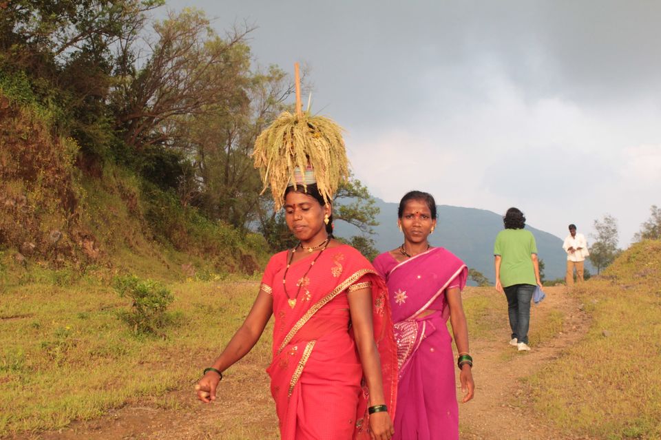 Photo of Duke's Nose: That one-day Hike to a heavenly aboard! 11/13 by Mukti Masih