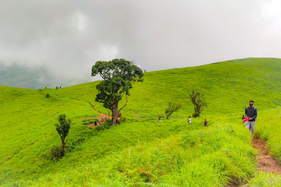 Photo of Kudremukha Peak, Karnataka by Mohana Beeregowda