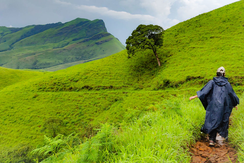Photo of Kudremukh Trek - A Perfect Weekend Getaway by Mohana Beeregowda