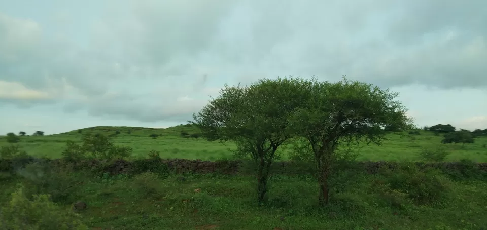 Photo of Sasan Gir, Gujarat, India by Dr Astha Kagrana