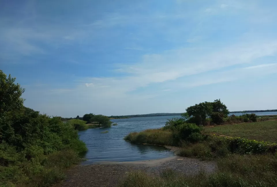 Photo of Sasan, Gujarat, India by Dr Astha Kagrana