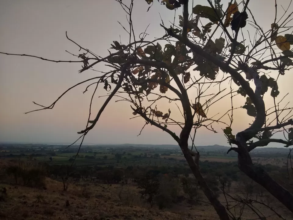 Photo of Maliya, Gujarat, India by Dr Astha Kagrana