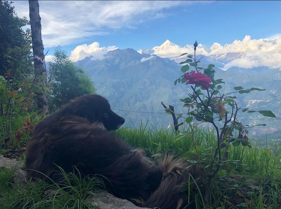 Photo of Love with UTTRAKHAND by Zeeshan Qureshi