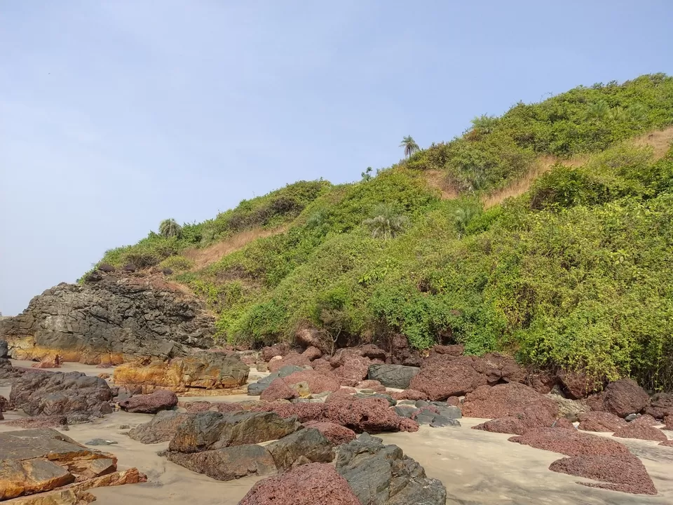 Photo of Arambol Sweet Water Lake, Paliyem, Goa by Kiran Shriyan