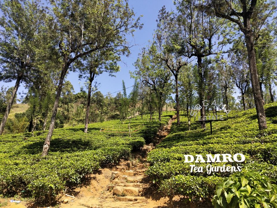 Photo of Oak-Ray Summer Hill Breeze Hotel, Nuwara Eliya, Sri Lanka by Kiran Shriyan