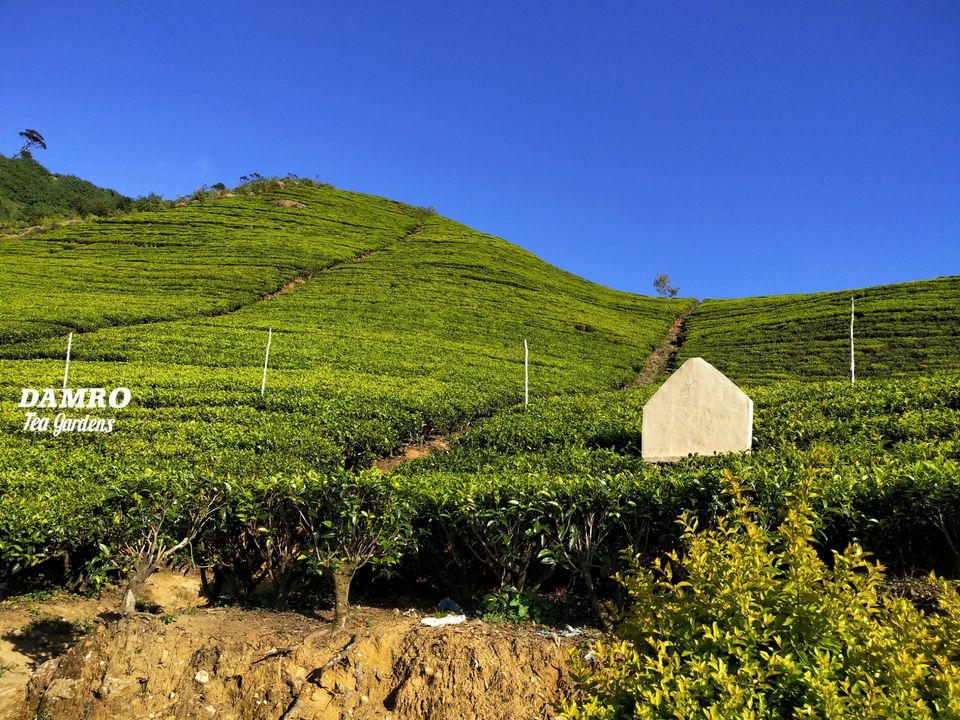 Photo of Oak-Ray Summer Hill Breeze Hotel, Nuwara Eliya, Sri Lanka by Kiran Shriyan