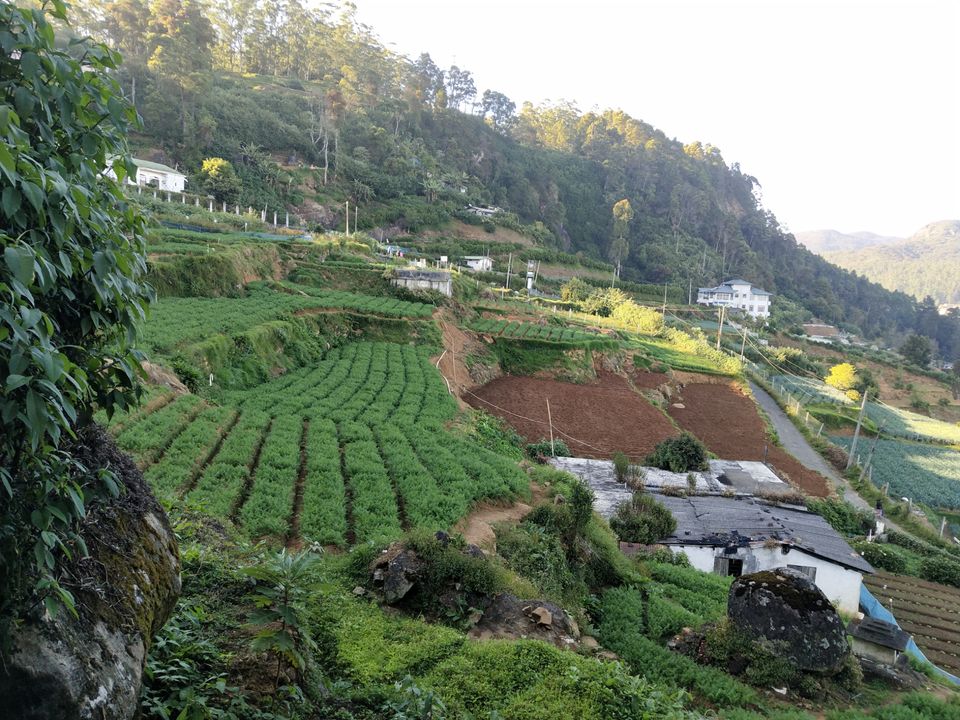 Photo of Oak-Ray Summer Hill Breeze Hotel, Nuwara Eliya, Sri Lanka by Kiran Shriyan