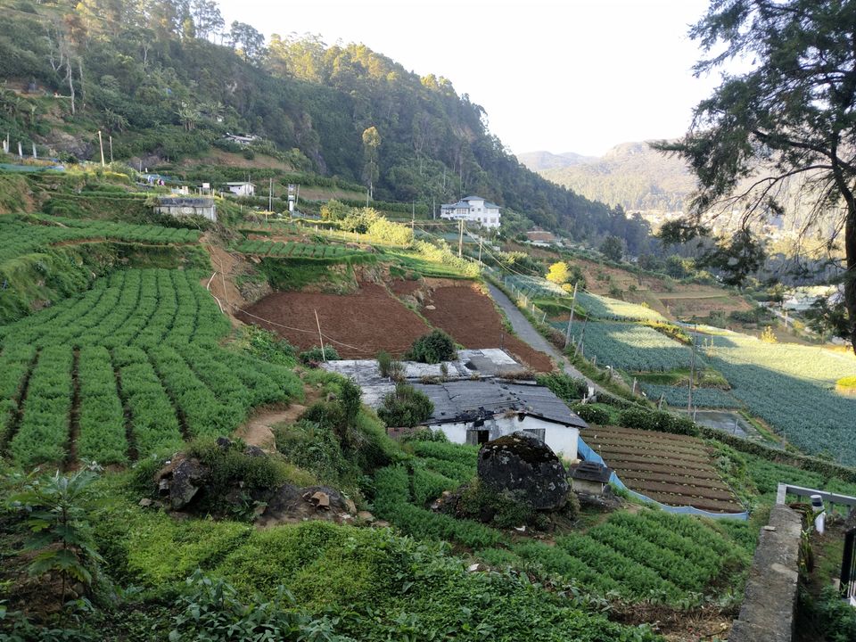 Photo of Oak-Ray Summer Hill Breeze Hotel, Nuwara Eliya, Sri Lanka by Kiran Shriyan