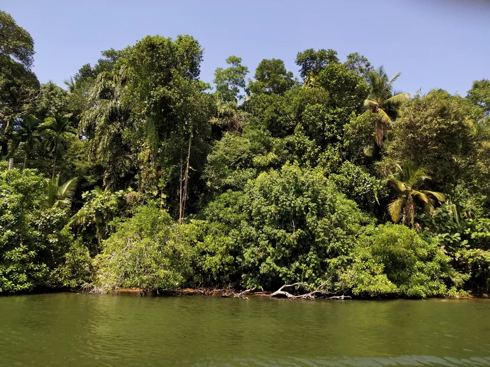 Photo of Earl's Reef Beruwala, Maradana Road, Beruwala, Sri Lanka by Kiran Shriyan
