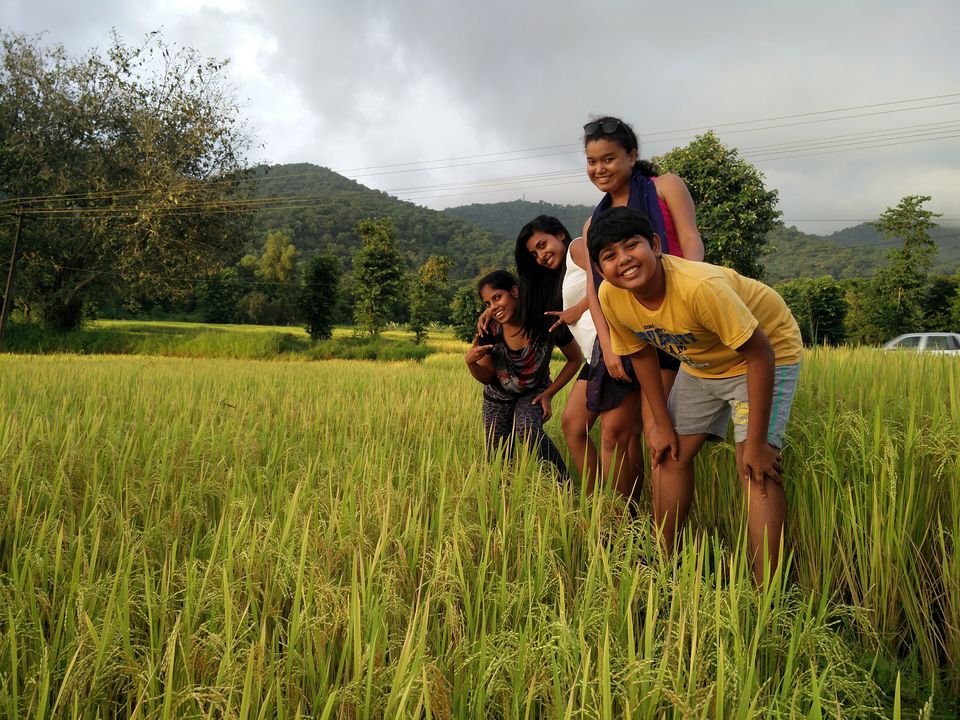 Photo of Goa to Murudeshwara and Jog Falls 10/10 by Cassandra Barua