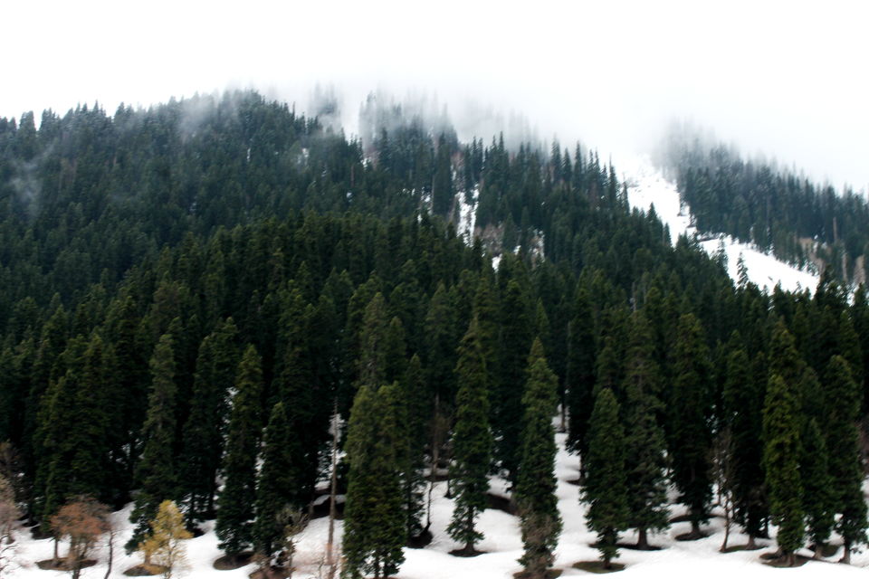 Photo of Glimpse of Kashmir and Sonamarg 2/9 by Cassandra Barua