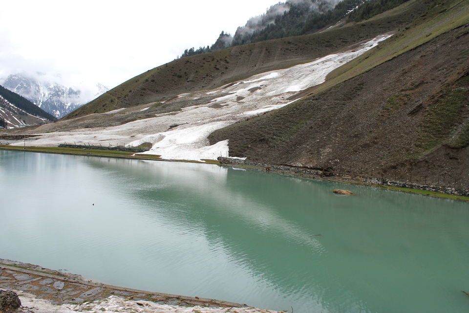Photo of Glimpse of Kashmir and Sonamarg 3/9 by Cassandra Barua
