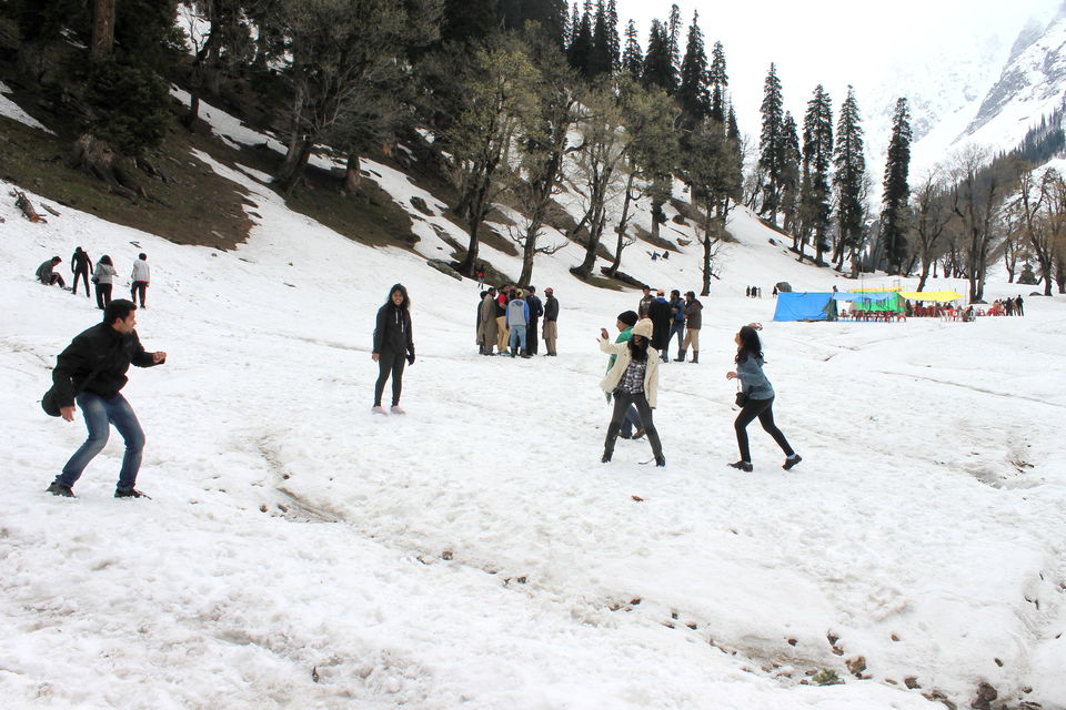 Photo of Glimpse of Kashmir and Sonamarg 5/9 by Cassandra Barua