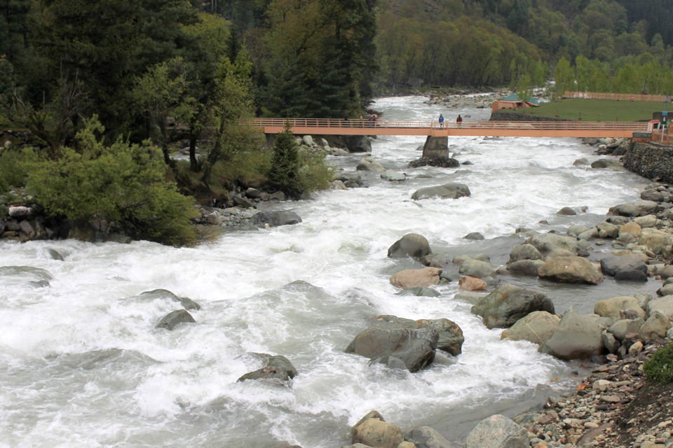 Photo of Glimpse of Kashmir and Sonamarg 9/9 by Cassandra Barua