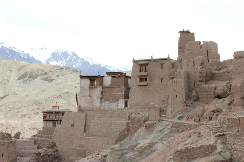 Photo of Ladakh- Leh, Khardung-la, Diskit, Nubra 11/43 by Cassandra Barua