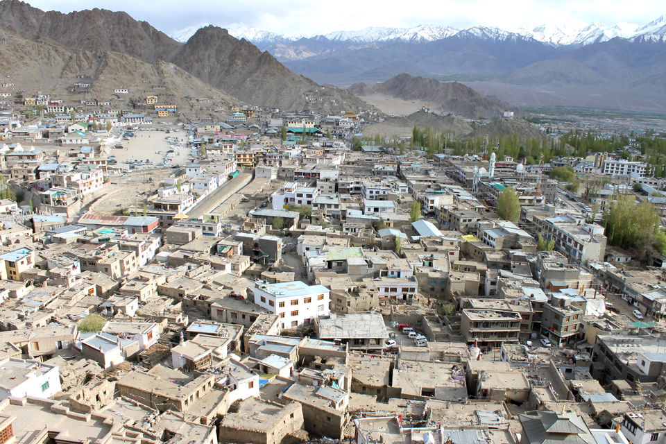 Photo of Ladakh- Leh, Khardung-la, Diskit, Nubra 14/43 by Cassandra Barua