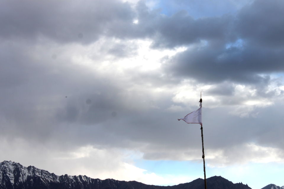 Photo of Ladakh- Leh, Khardung-la, Diskit, Nubra 16/43 by Cassandra Barua