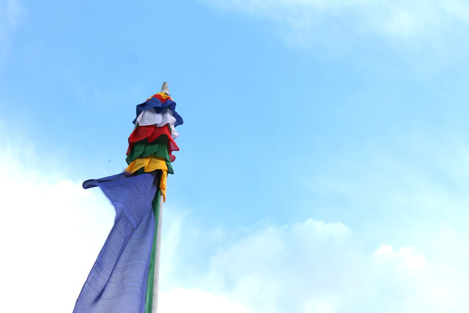 Photo of Ladakh- Leh, Khardung-la, Diskit, Nubra 17/43 by Cassandra Barua