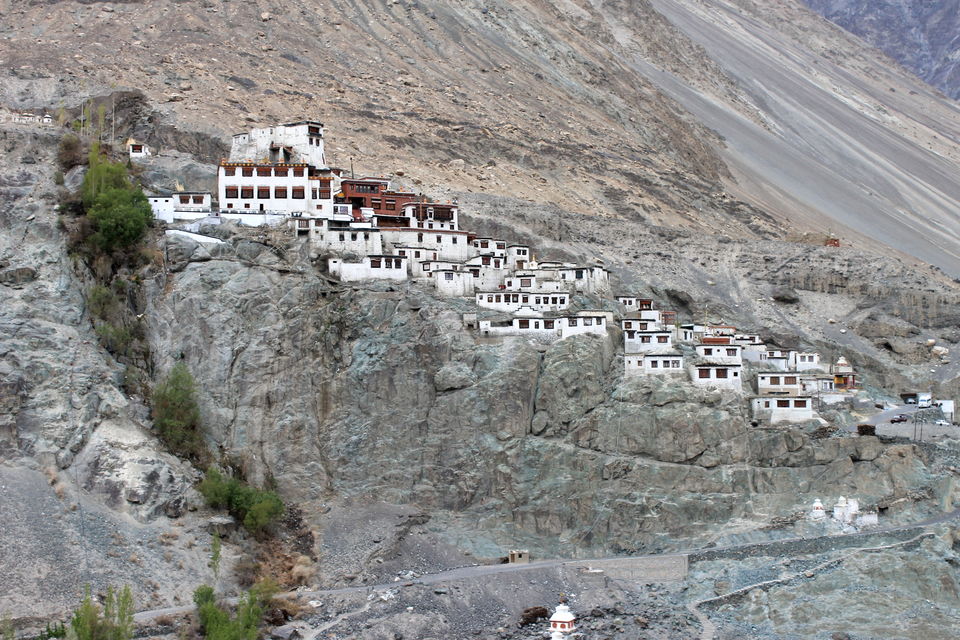Photo of Ladakh- Leh, Khardung-la, Diskit, Nubra 29/43 by Cassandra Barua