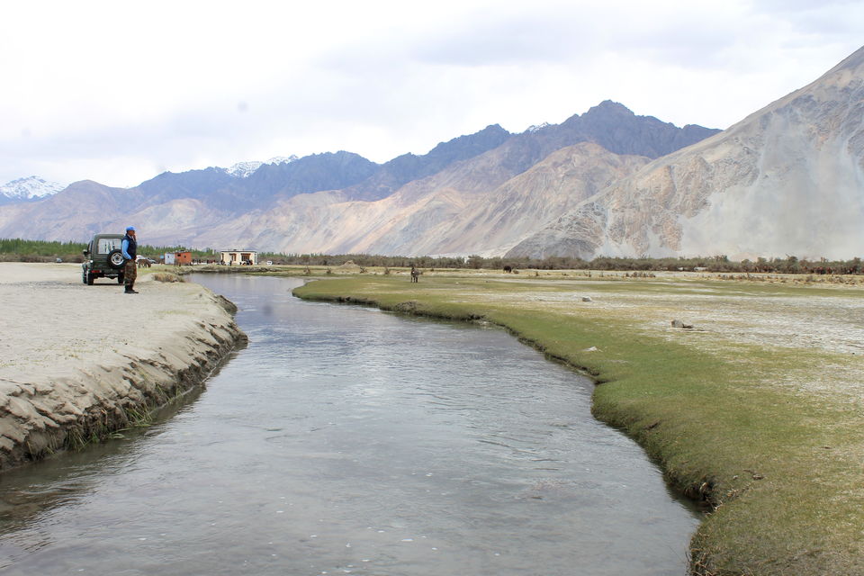 Photo of Ladakh- Leh, Khardung-la, Diskit, Nubra 34/43 by Cassandra Barua