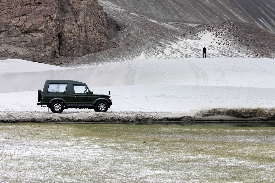 Photo of Ladakh- Leh, Khardung-la, Diskit, Nubra 36/43 by Cassandra Barua