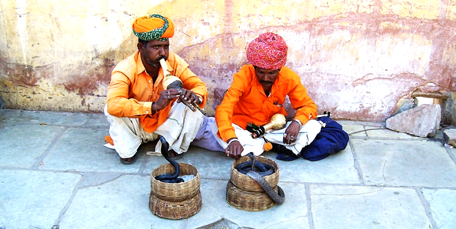 Photo of Jaipur by Niko