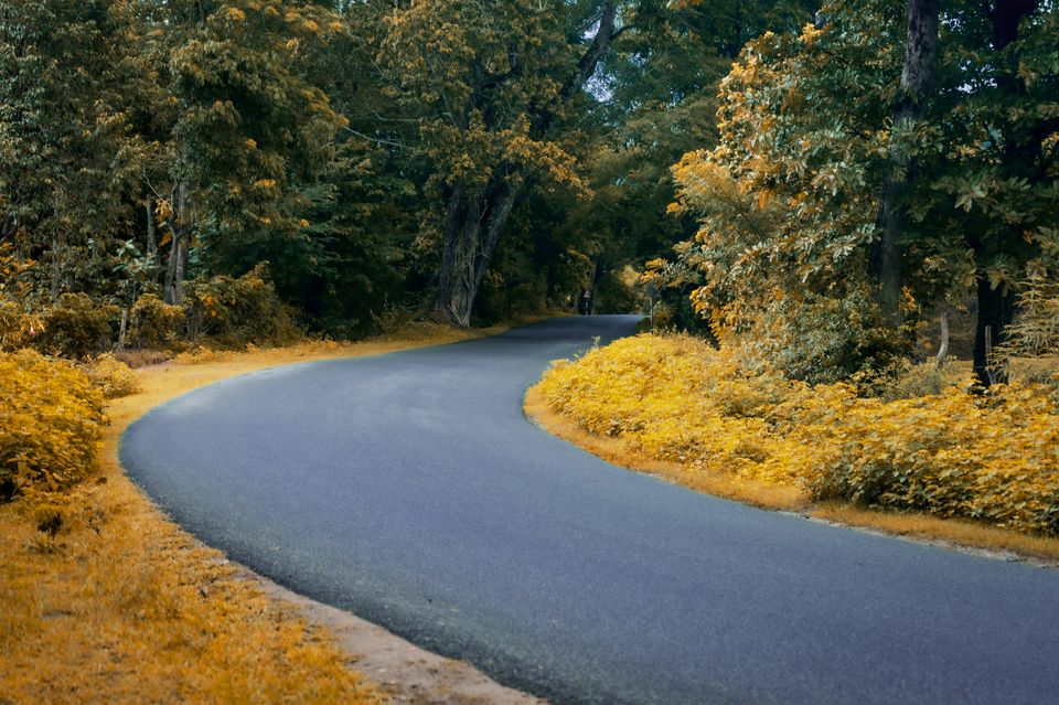 Photo of Chikmagalur, Karnataka, India by Manikanta