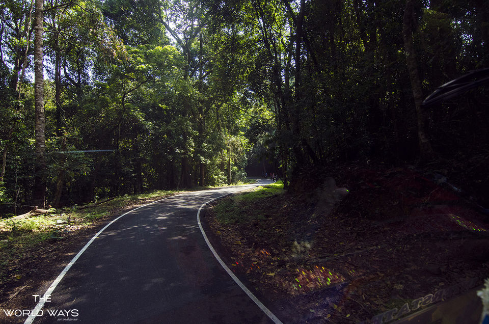 Photo of The Valparai Ways 11/20 by Kannan K R