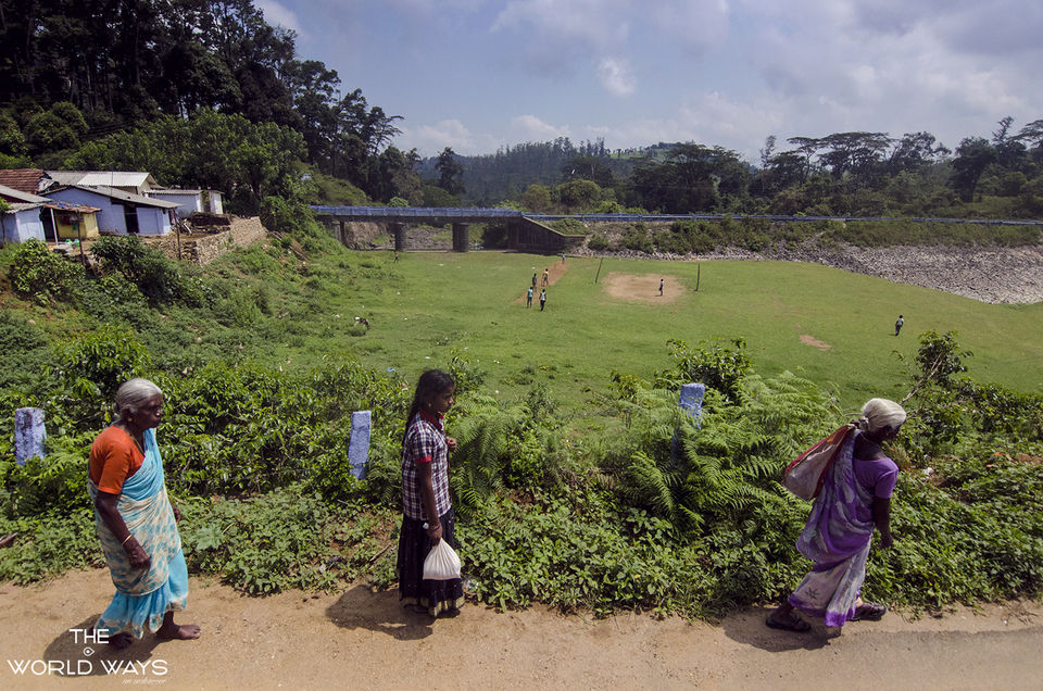 Photo of The Valparai Ways 14/20 by Kannan K R