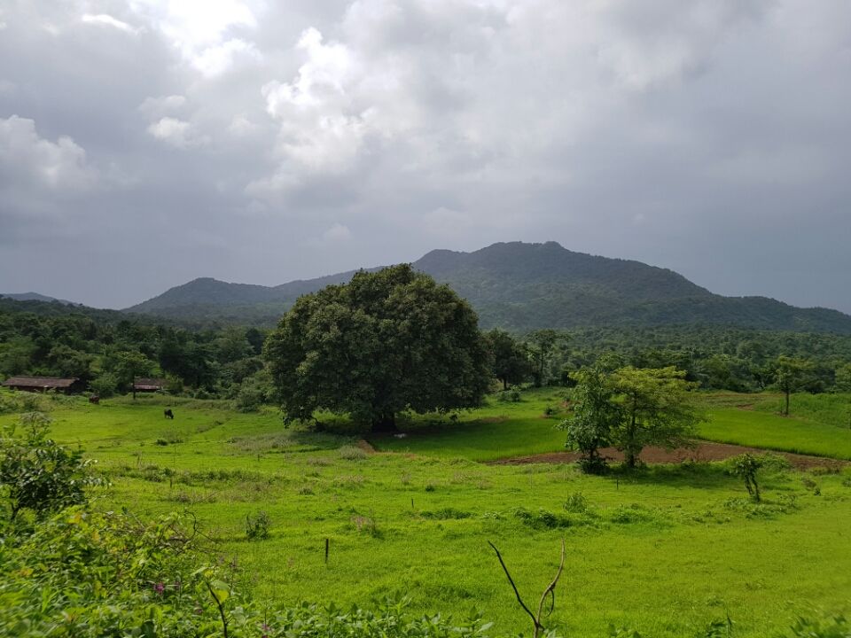 Photo of Mumbai, Maharashtra 400066, India by Kaushir Raikar