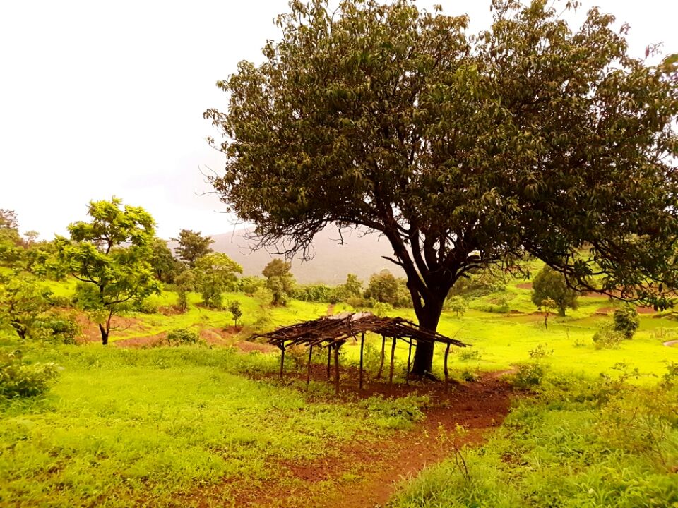 Photo of Mumbai, Maharashtra 400066, India by Kaushir Raikar