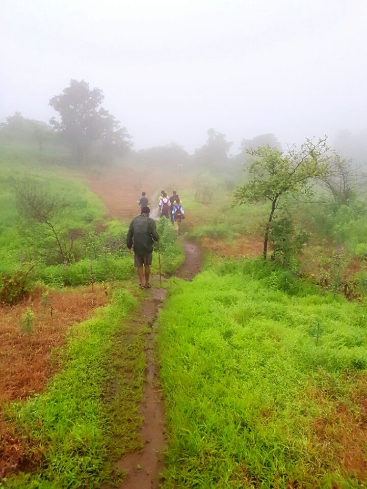 Photo of Mumbai, Maharashtra 400066, India by Kaushir Raikar