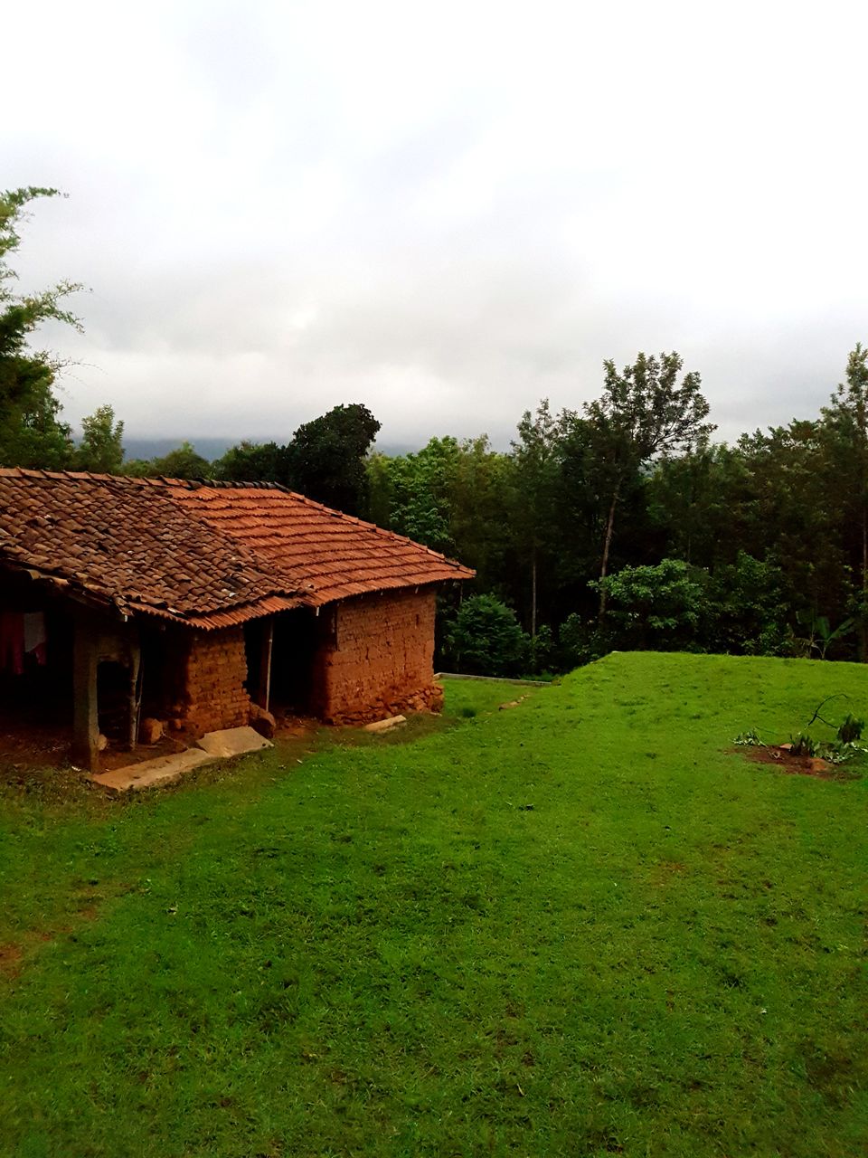 Photo of Chickmagaluru: land of coffee and nature uninterrupted by Kaushir Raikar