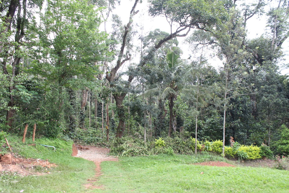 Photo of Chickmagaluru: land of coffee and nature uninterrupted by Kaushir Raikar