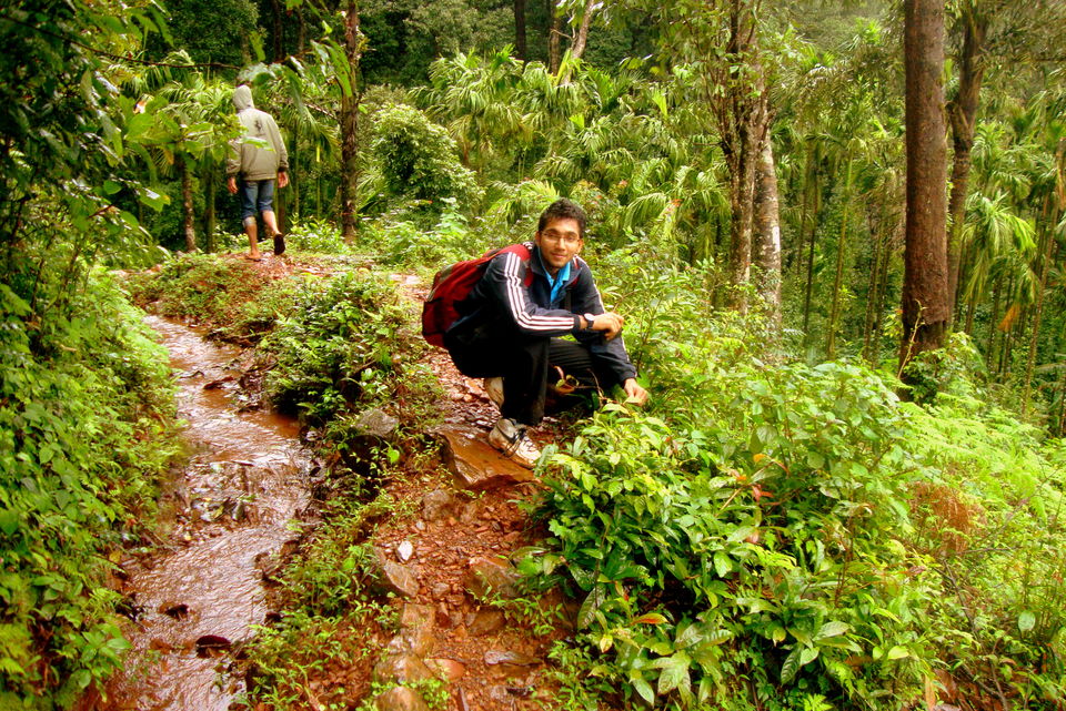 Photo of Into the heart of Western Ghats: Kodachadri 26/44 by Aditya Sen