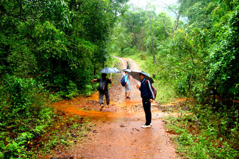 Photo of Into the heart of Western Ghats: Kodachadri 27/44 by Aditya Sen