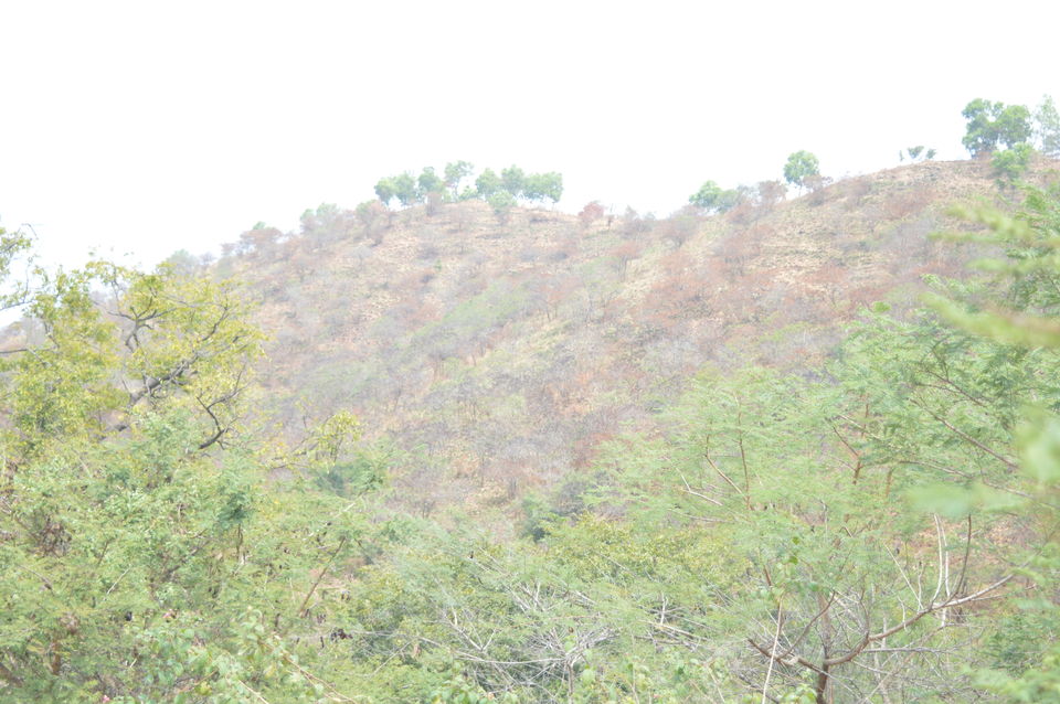 Photo of A day @ the fort of death: Savandurga 7/61 by Aditya Sen