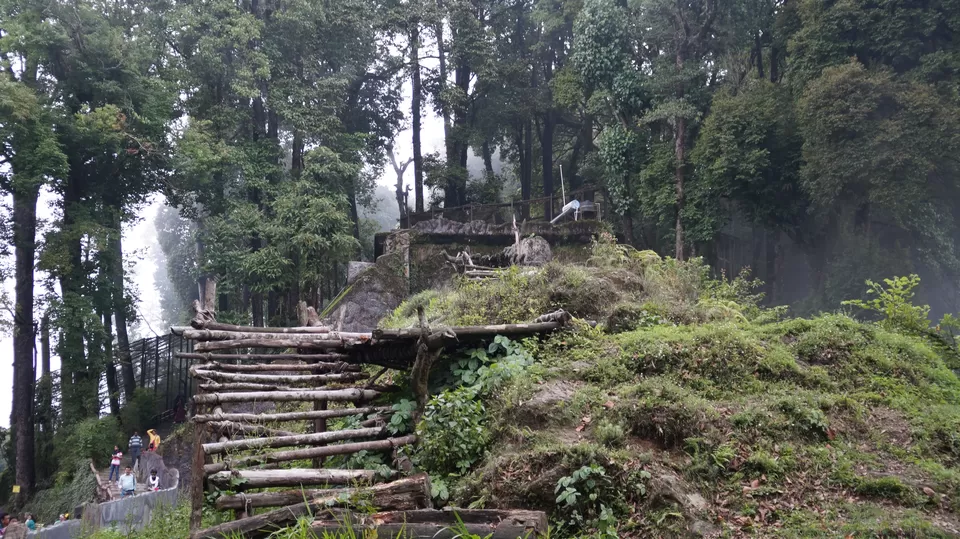 Photo of Padmaja Naidu Himalayan Zoological Park, Jawahar Parbat, Darjeeling, West Bengal, India by Aditya Sen
