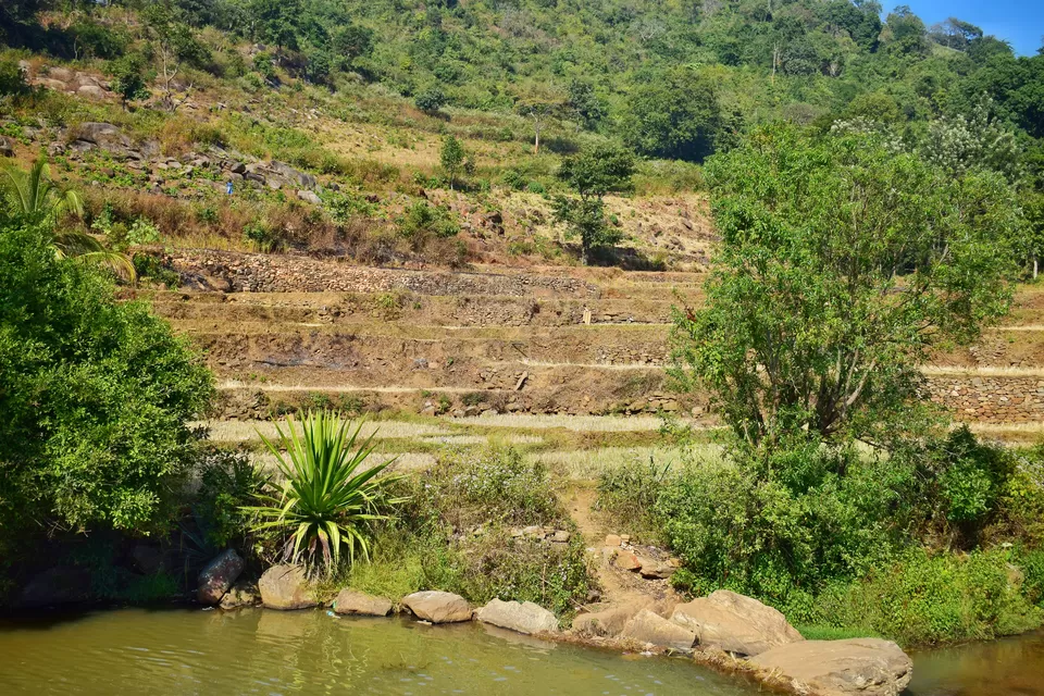 Photo of Araku Valley, Araku - Visakhapatnam Road, Araku Valley, Andhra Pradesh, India by Chirra Akhil
