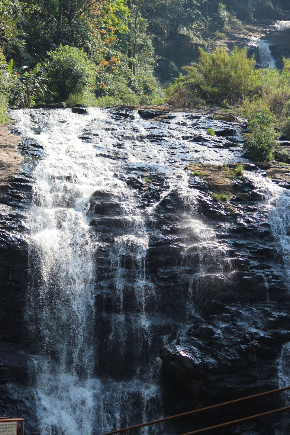 Photo of Tour De Coorg by Sharabjeet Singh