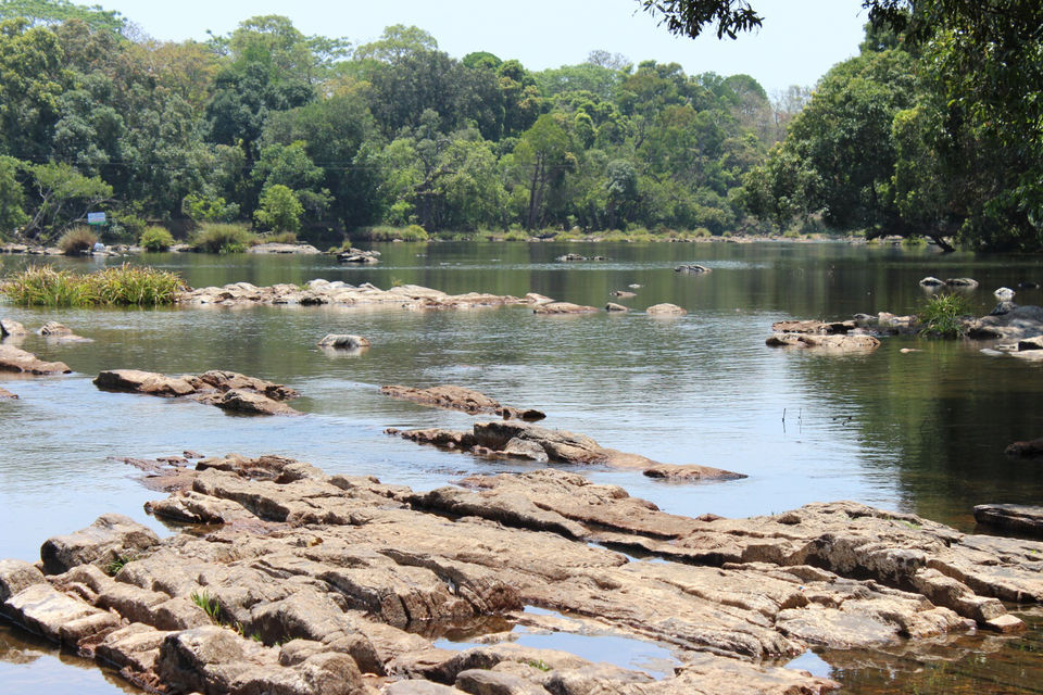 Photo of Tour De Coorg by Sharabjeet Singh